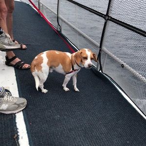 Meet your Posher, Michala